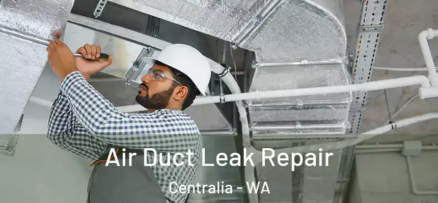  Air Duct Leak Repair Centralia - WA