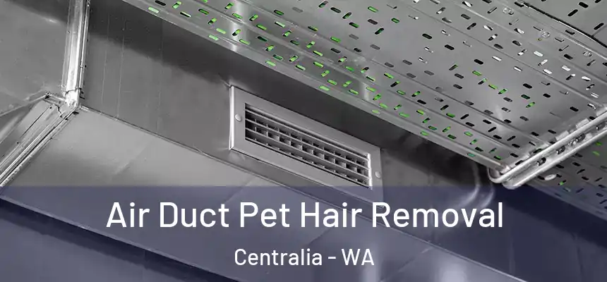  Air Duct Pet Hair Removal Centralia - WA