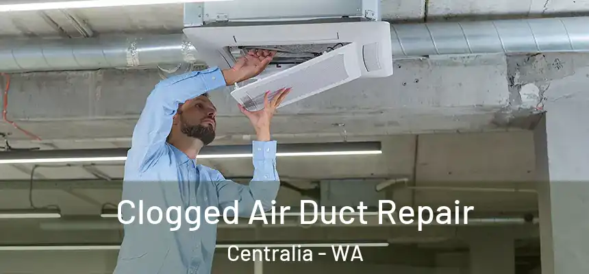  Clogged Air Duct Repair Centralia - WA