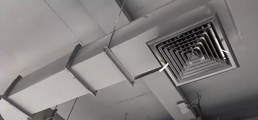 Our Pest Removal From Ducts Services in Centralia, WA