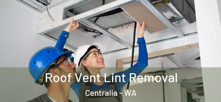 Roof Vent Lint Removal Centralia - WA