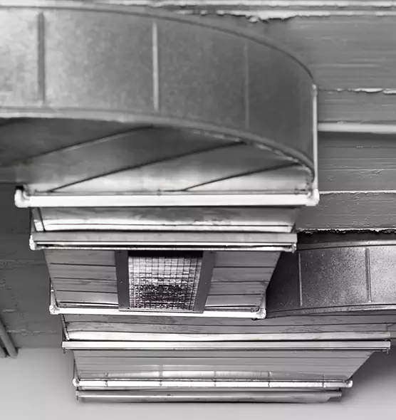 Professional Air Duct Pest Removal in Centralia, WA