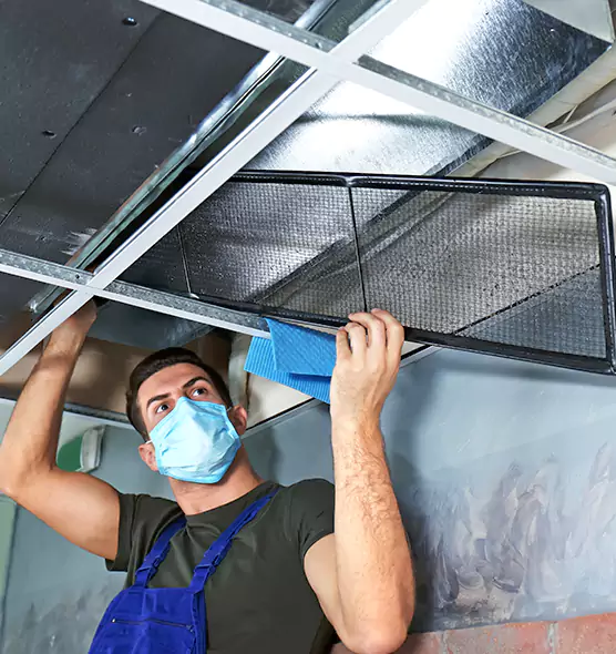 Professional Air Duct Pollen Cleaning in Centralia, WA