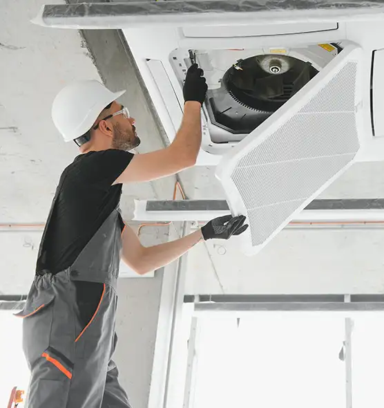 About Air Duct Rodent Removal in Centralia, WA