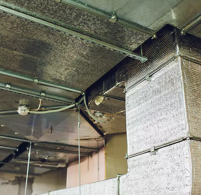 Why Homeowners & Businesses Trust Us in Centralia, WA?